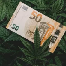 💸 Weed top budget 💸