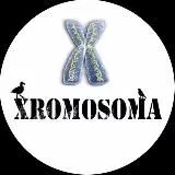 XROMOSOMA