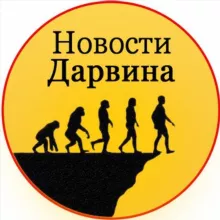 Новости Дарвина