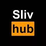 SLIVHUB 18+