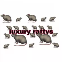 Luxury rattys🐀