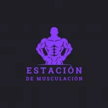 Estación De Musculación