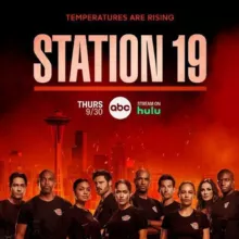 🇫🇷 GREY'S ANATOMY STATION 19 VF FRENCH SAISON 6 5 4 3 2 1 INTEGRALE