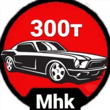 Авто до 300тыс