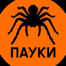 Пауки