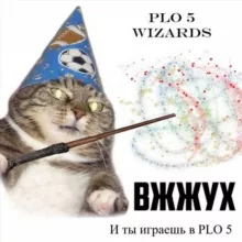 PLO5 Wizards