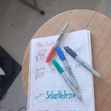 Sebasprofessor