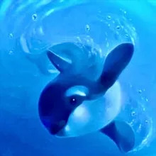 Подводный мир 🐬