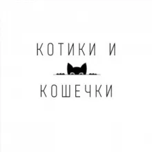 Котики и Кошечки