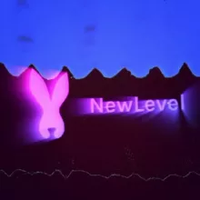 Новый уровень удовольствий с NewLevel