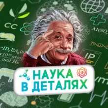 Наука в деталях