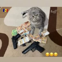 Cash 💰 Moldova 🇲🇩