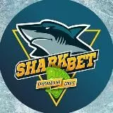 Бесплатные прогнозы | SharkBet 🦈