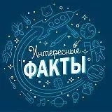 Интересные факты📚