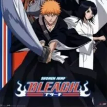 Bleach VF