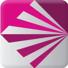 Project V （使用与反馈）