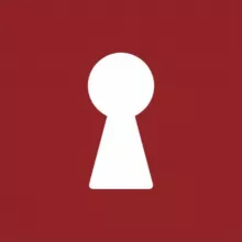 Записки Василиски