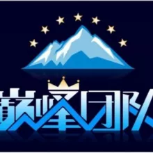 【巅峰】 僵尸粉 飞机号 引流