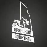 Брянский водитель