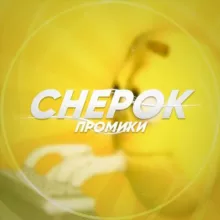 Chepok прогнозы