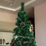 🎄Ёлочка67🎄