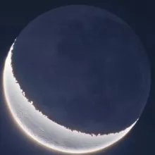 Y