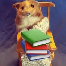 📚Уютный разбирает