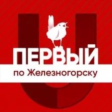 Первый по Железногорску