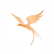 Fenice Academy