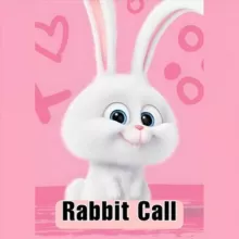 🐰RABBIT CALLS🐰