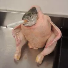 Smoking Chicken Fish