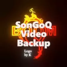 Son Go Q Video Backups