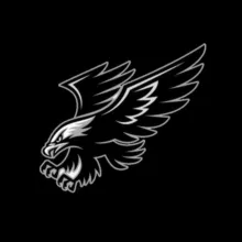 🦅SOKOLL CHANNEL