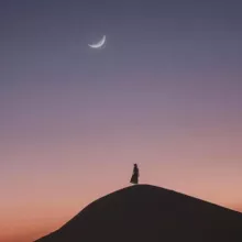 Цитата Дня