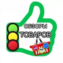 ledi_revizor