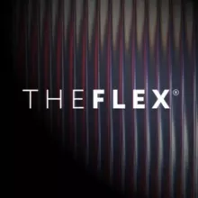 THE FLEX | сеть фитнес-студий