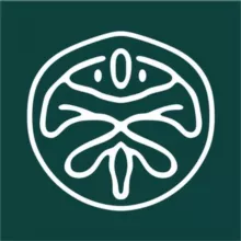 Нейроплод - nplod.ru
