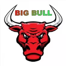 BIG BULL Parity Channel💯❤️