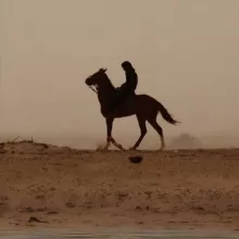 ذهب