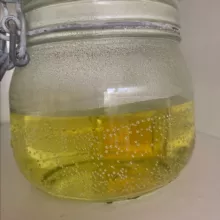 Erfahrungsberichte mit Chlordioxid