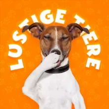 LUSTIGE TIERE