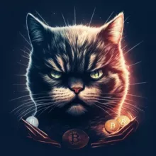 Crypto Cate