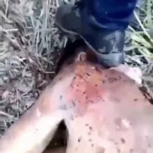 VIDEOS VARIADO GORES ETC☠️👺👹💀👿👿💀💀☠️☠️