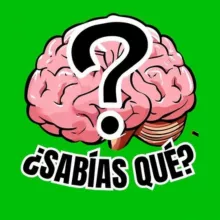 ¿SABÍAS QUÉ? 🧠🎁