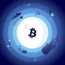 Crypto Aquarium 🐳