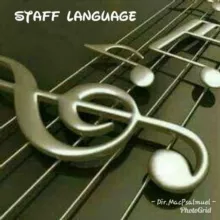 StaffLanguage🎶