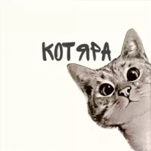 КОТЯРА😸