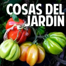 Cosas del Jardín