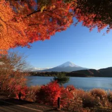 Планета Земля🍁