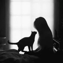 футажи для видео.♡